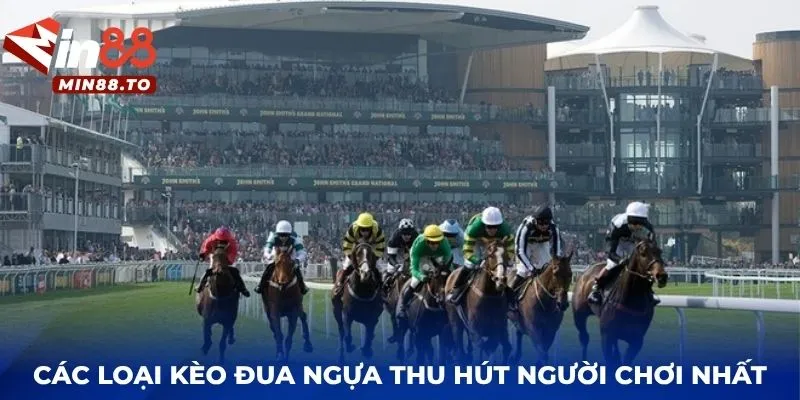 Các loại kèo đua ngựa thu hút người chơi nhất