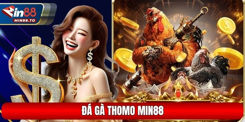 Đá gà Thomo Min88