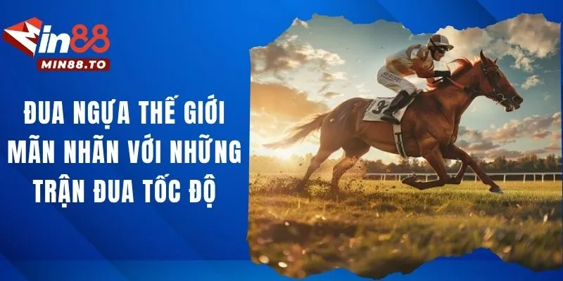 Đua ngựa thế giới - Khám phá môn thể thao tốc độ