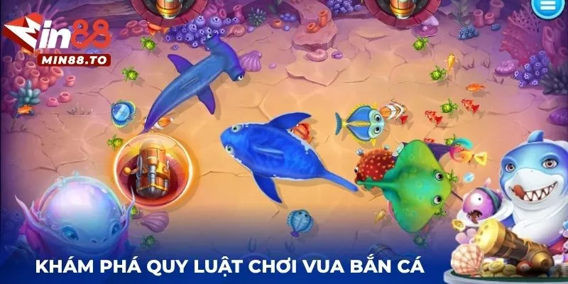Khám phá quy luật chơi vua bắn cá