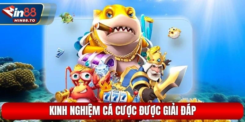 Kinh nghiệm cá cược được giải đáp