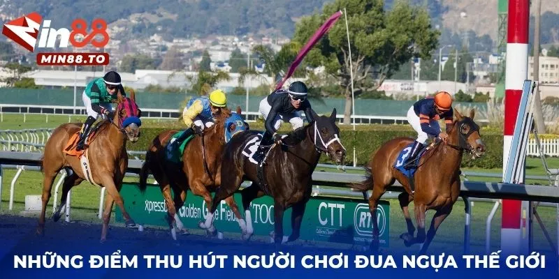 Những điểm thu hút người chơi đua ngựa thế giới