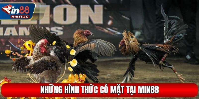Những hình thức có mặt tại Min88