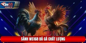 WS168 Đá Gà Cực Chất Tại Min88 Có Gì Thú Vị Thu Hút Hội Viên?