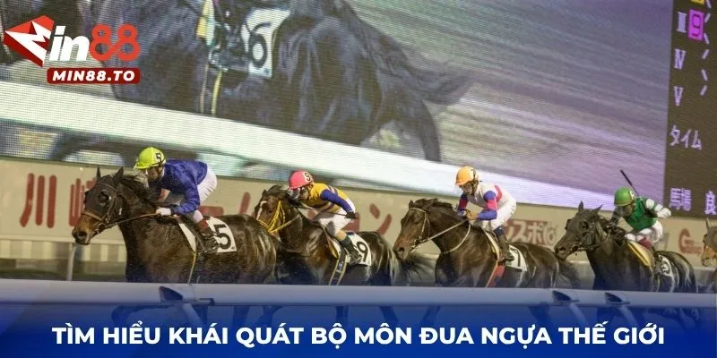 Tìm hiểu khái quát bộ môn đua ngựa thế giới