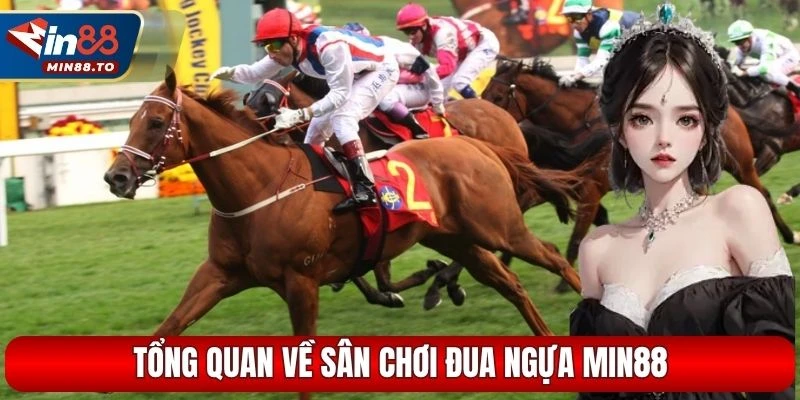 Tổng quan về sân chơi đua ngựa MIN88