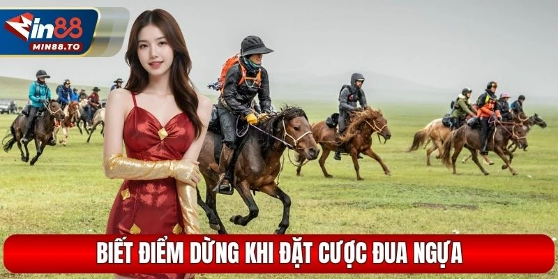 Biết điểm dừng khi đặt cược đua ngựa
