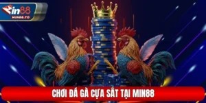 Đá Gà Cựa Sắt Tại Min88 – Mách Nước Thắng Nhanh Từ Cao Thủ