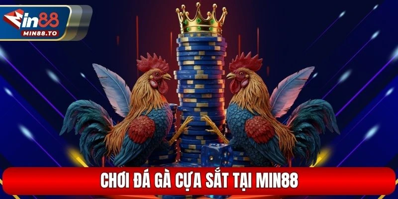 Chơi đá gà cựa sắt tại Min88
