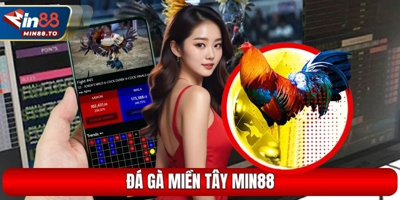 Đá gà miền Tây MIN88