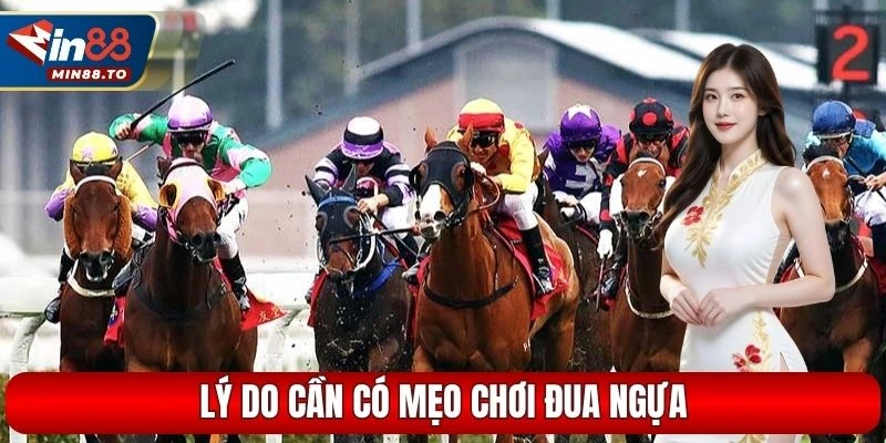 Lý do cần có mẹo chơi đua ngựa
