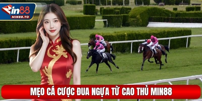 Mẹo cá cược đua ngựa từ cao thủ Min88