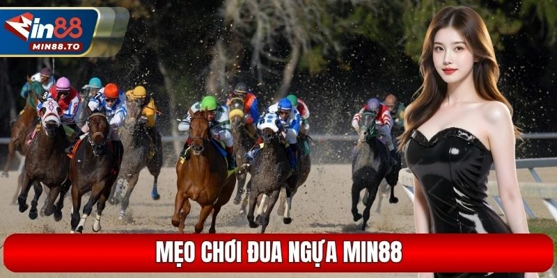 Mẹo chơi đua ngựa Min88