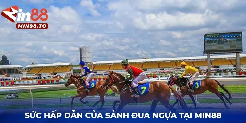 Sức hấp dẫn của sảnh đua ngựa tại MIN88